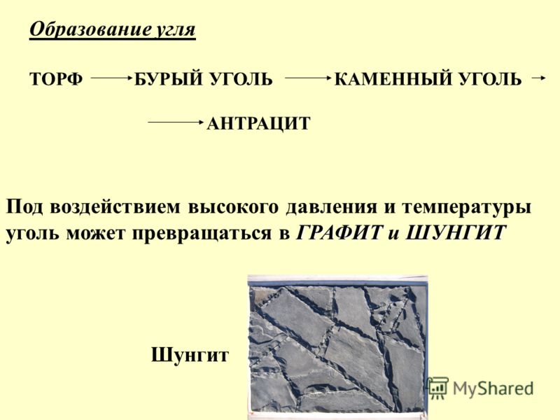 Образование каменного угля план сообщения 5 класс биология