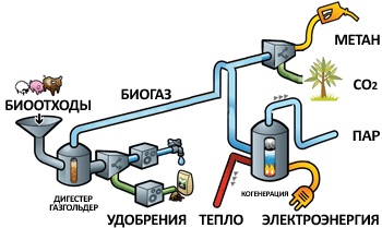 Схема использования биогаза