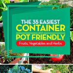 35 Container Garden Ideas