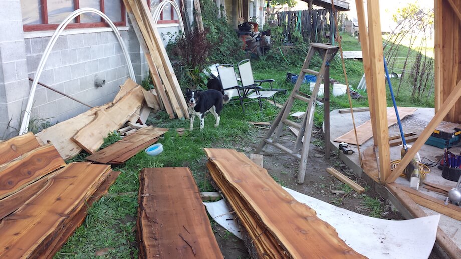 dog who likes DIY sauna building