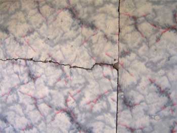 Cracked linoleum (courtesy of the U.S. Forest Service)