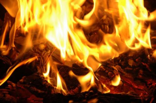 Почему трещат дрова при горении. Почему дрова трещат