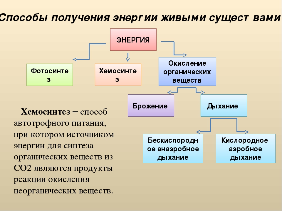 Энергия способы. Способы получения энергии. Способы получения электроэнергии. Виды получения энергии. Первый способ получения энергии живыми организмами.