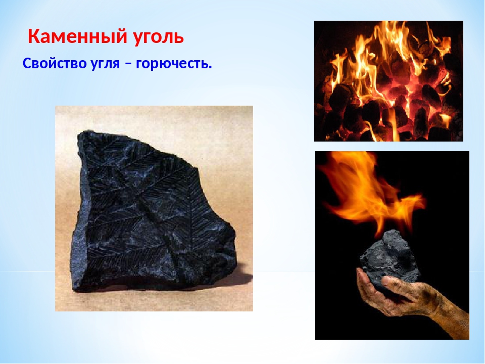 Особенности каменного угля