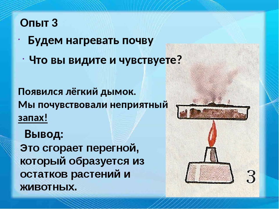 Ход опыта. Опыты с почвой 3 класс. Эксперимент с почвой 3 класс. Опыт с почвой по окружающему миру. Немного свежей почвы нагреем на огне..