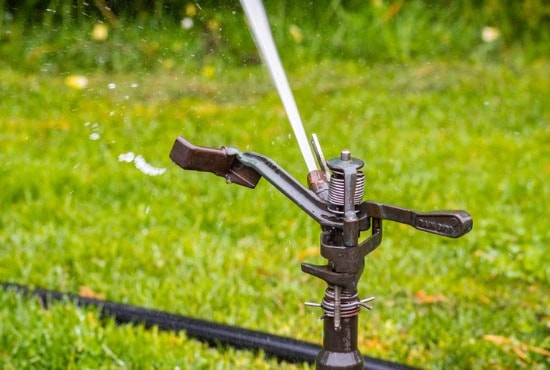 Water jet to scare away pigeons