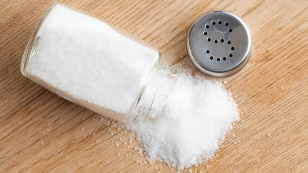 salt 620