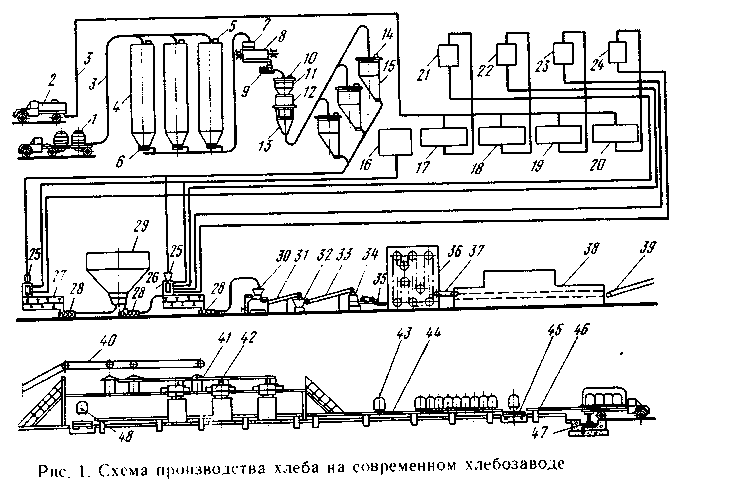 Технологическая схема хлебопекарного производства