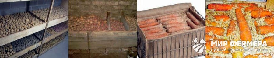 Как хранить картошку и морковь в погребе