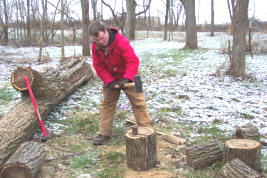 cutting free firewood