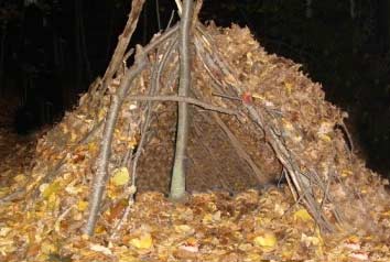 Insulating a shelter with leaves