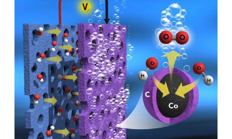 High-efficiency and low-cost catalyst for water electrolysis