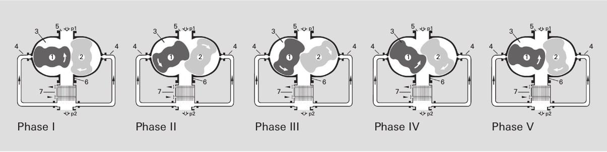 Operating principle of a gas-cooled Roots pump