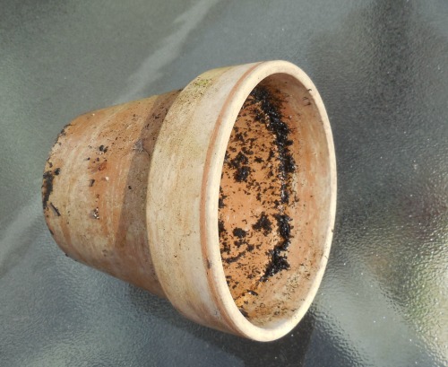 dirty clay pot