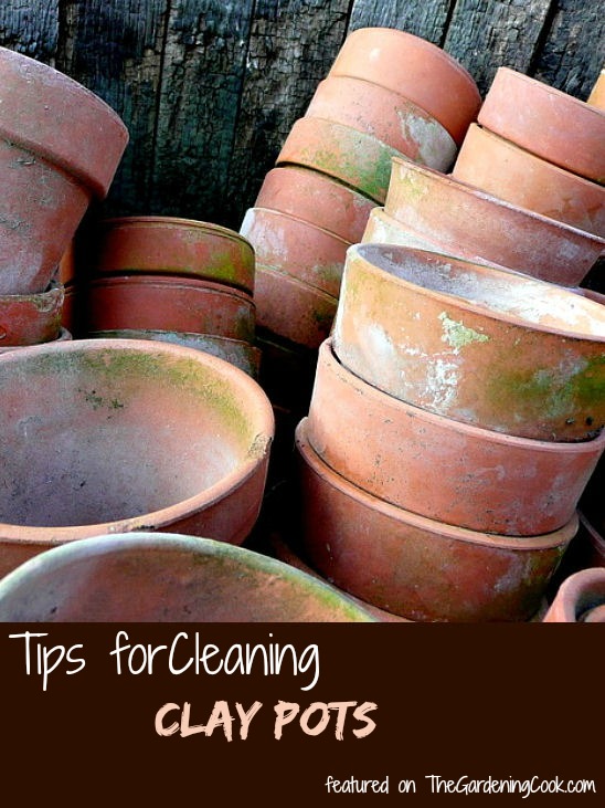 Tips for cleaning clay pots