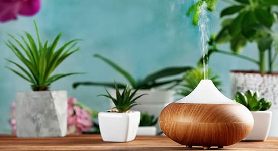 What Is an Oil Diffuser?