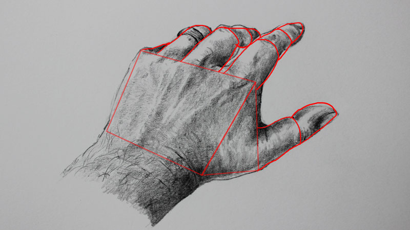 Draw fingers