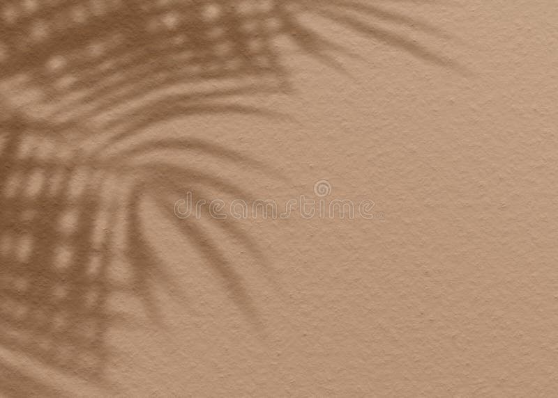 Brown clay mud grunge cement texture wall leaf plant shadow background. Summer tropical travel beach with minimal concept. Flat lay palm nature stock photo