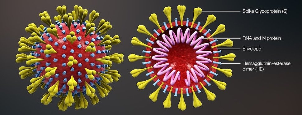Обеззараживание воздуха от коронавируса: озонирование, бактерицидный рециркулятор или очиститель воздуха? 