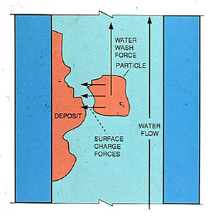 Figure 12-6. Opposing forces act on water-carried particles. Surface charges may attract particles to a deposit. Water flow "sweeps" the particle along.